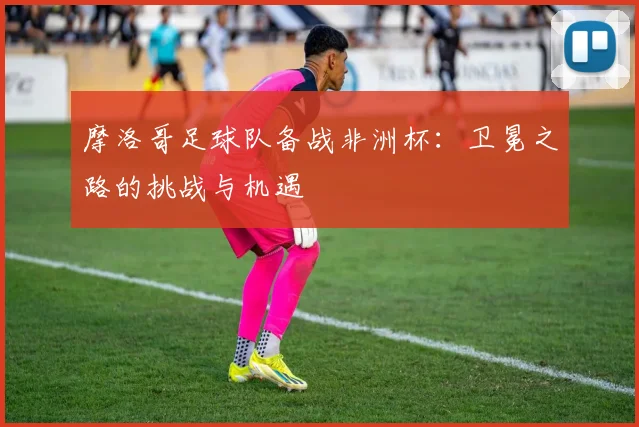 摩洛哥足球队备战非洲杯：卫冕之路的挑战与机遇