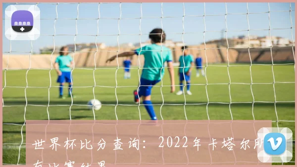 世界杯比分查询：2022年卡塔尔所有比赛结果
