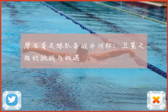 摩洛哥足球队备战非洲杯：卫冕之路的挑战与机遇