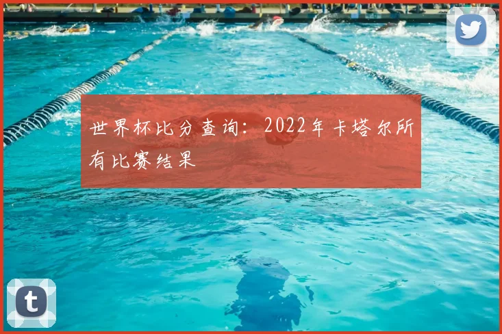 世界杯比分查询：2022年卡塔尔所有比赛结果