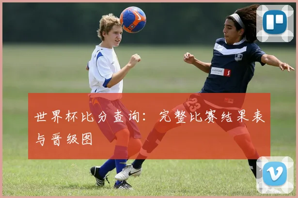 世界杯比分查询：完整比赛结果表与晋级图