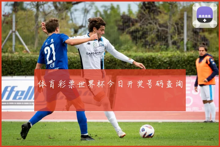 体育彩票世界杯今日开奖号码查询