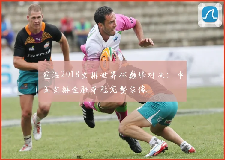 重温2018女排世界杯巅峰对决：中国女排全胜夺冠完整录像