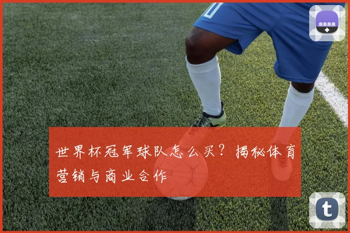 世界杯冠军球队怎么买?揭秘体育营销与商业合作