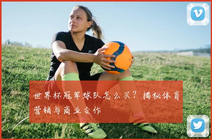 世界杯冠军球队怎么买?揭秘体育营销与商业合作