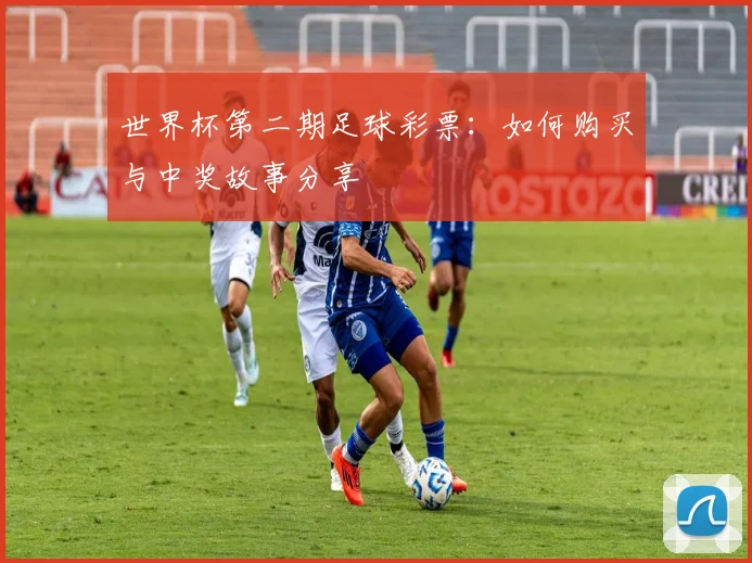 世界杯第二期足球彩票：如何购买与中奖故事分享
