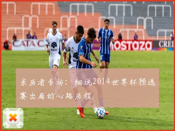 亲历者专访:细说2014世界杯预选赛出局的心路历程