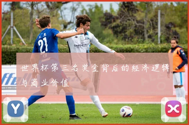 世界杯第三名奖金背后的经济逻辑与商业价值