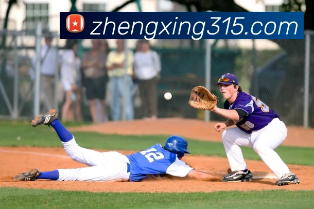 云开app官方版入口服务体系